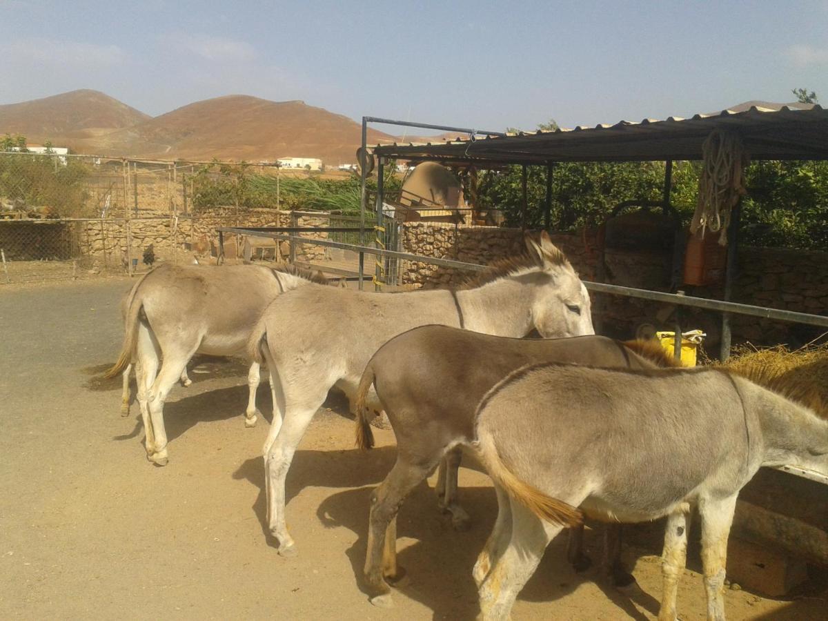 Agroturismo La Gayria Tiscamanita Екстериор снимка