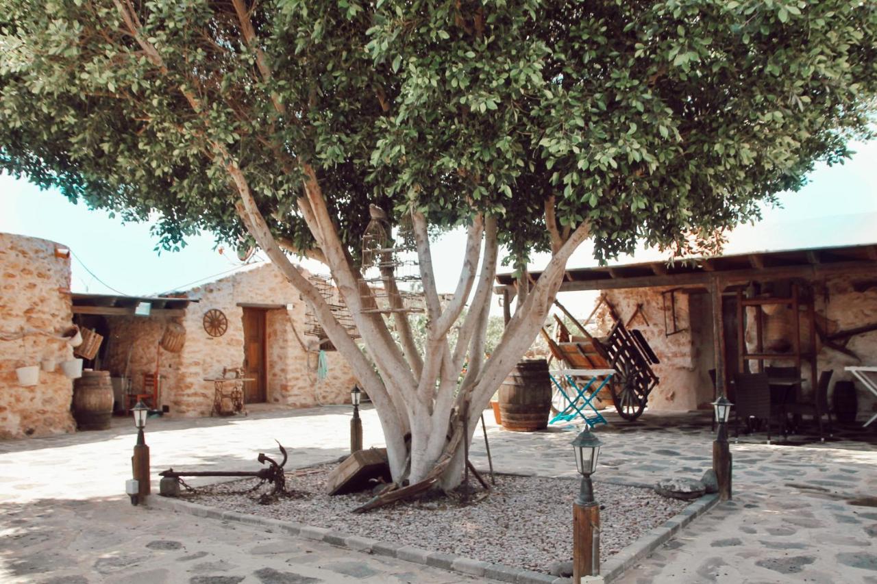 Agroturismo La Gayria Tiscamanita Екстериор снимка