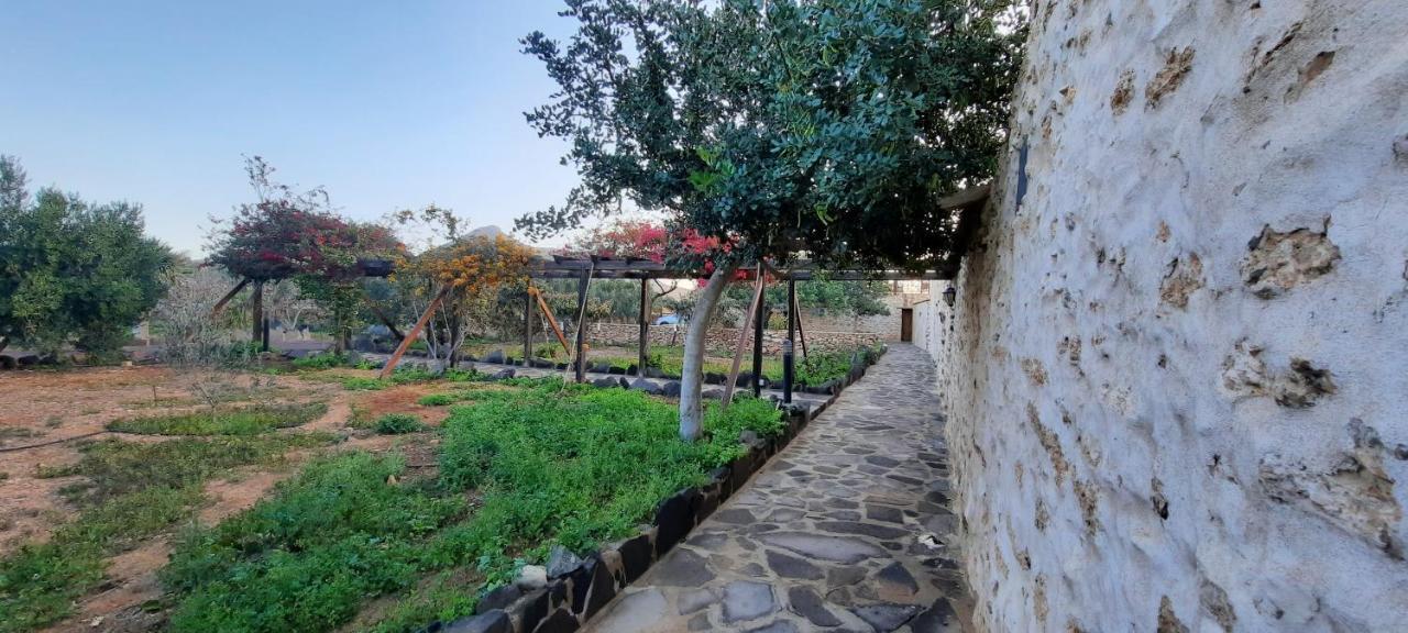 Agroturismo La Gayria Tiscamanita Екстериор снимка
