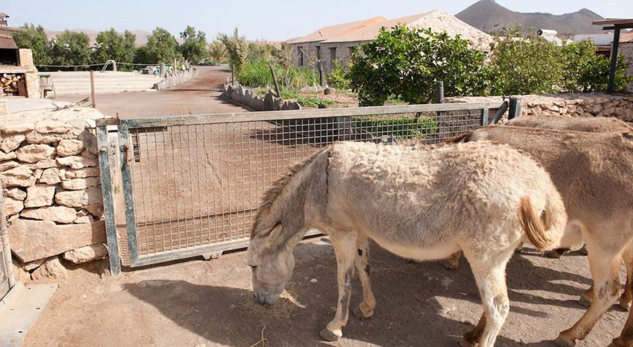 Agroturismo La Gayria Tiscamanita Екстериор снимка